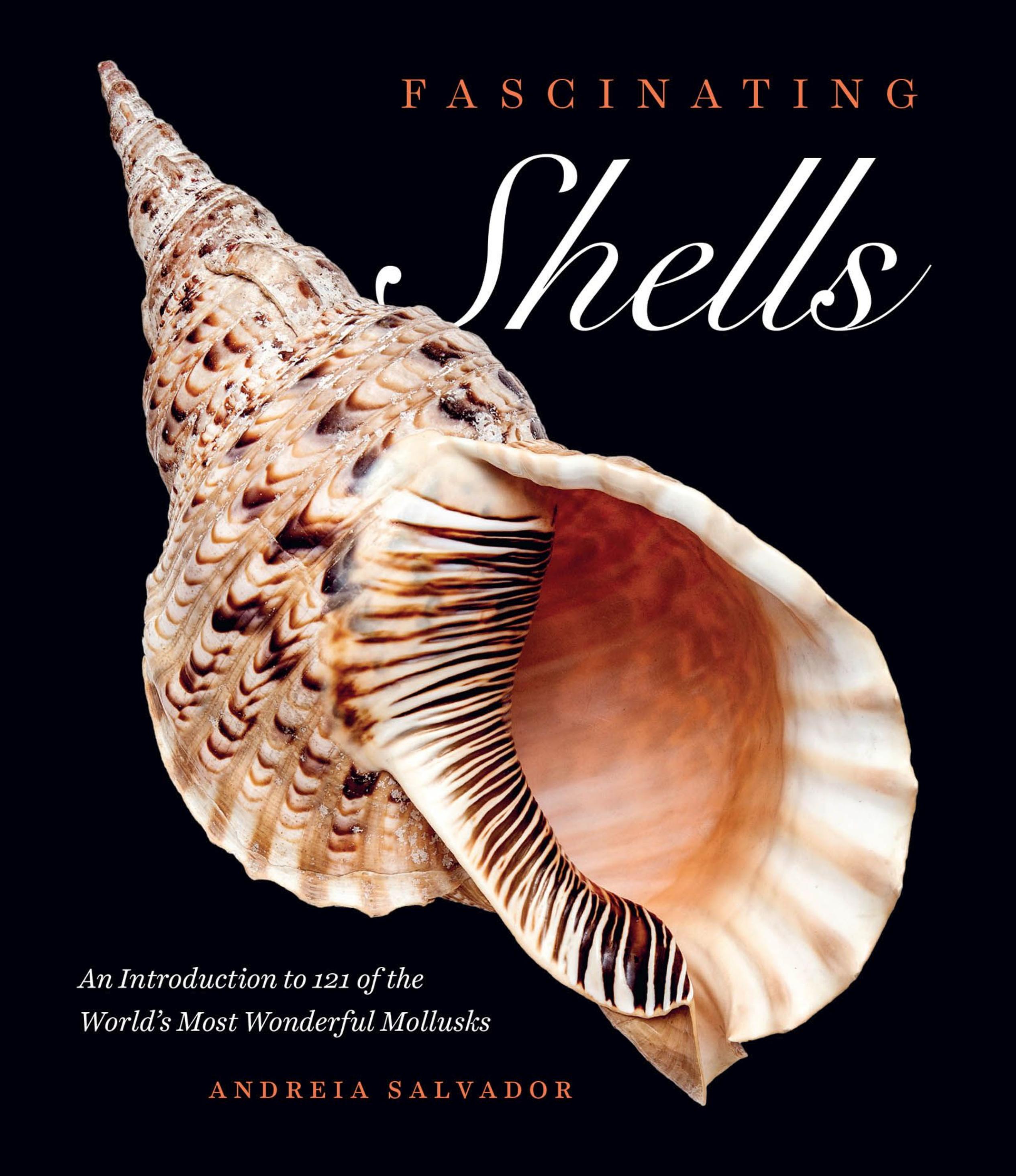 Fascinating Shells: An Introduction to 121 of the Worldâs Most Wonderful Mollusks by Andreia Salvador