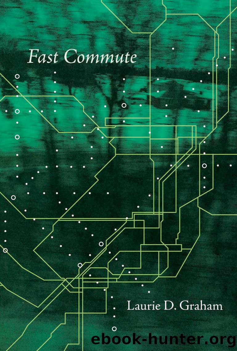 Fast Commute by Laurie D. Graham