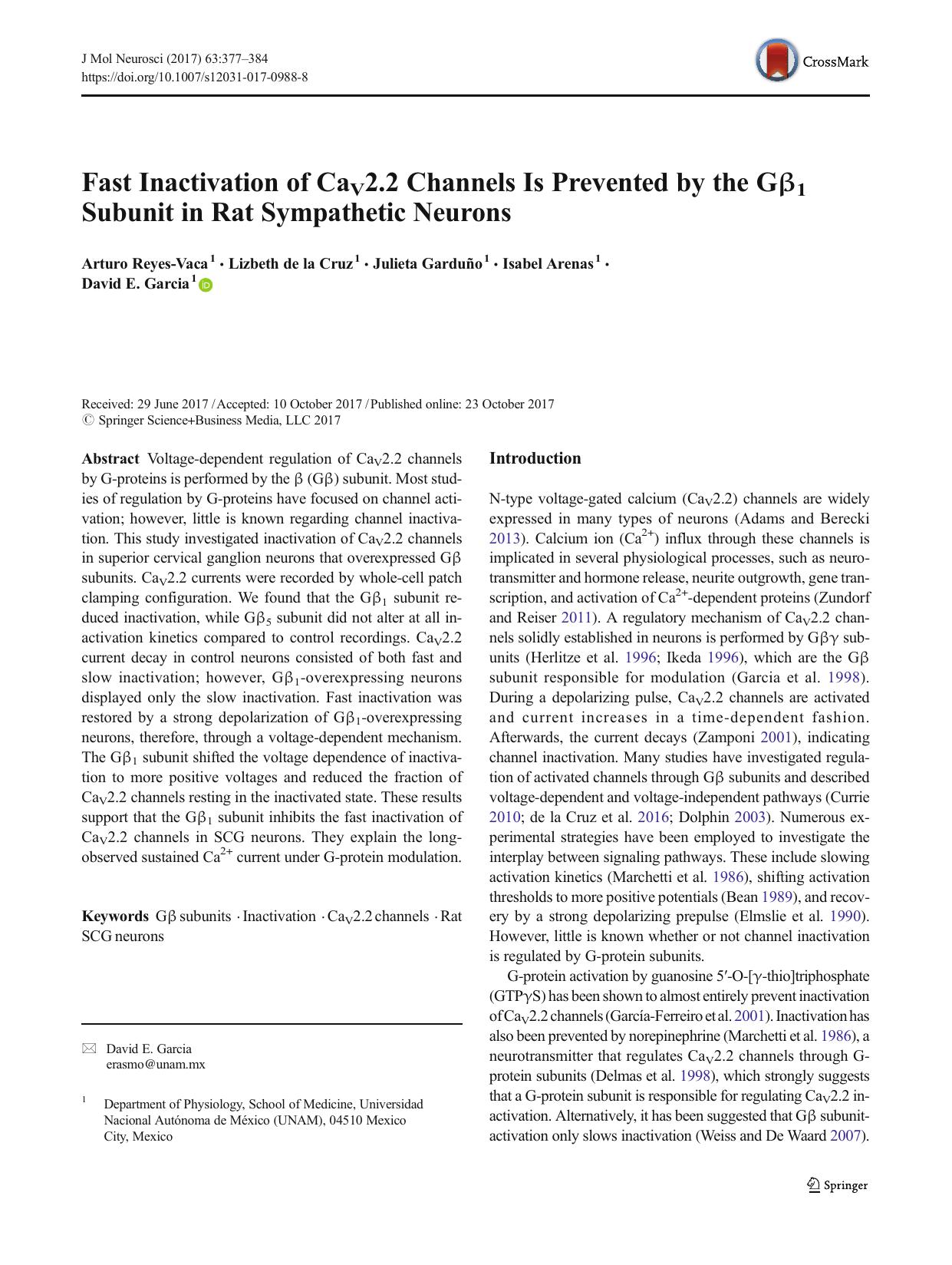 Fast Inactivation of CaV2.2 Channels Is Prevented by the GÎ²1 Subunit in Rat Sympathetic Neurons by Arturo Reyes-Vaca & Lizbeth Cruz & Julieta Garduño & Isabel Arenas & David E. Garcia