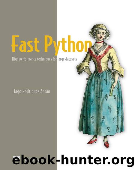 Fast Python: High performance techniques for large datasets (for True Epub) by Tiago Rodrigues Antão