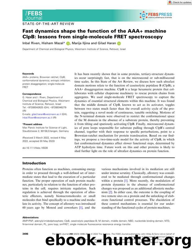 Fast dynamics shape the function of the AAA+ machine ClpB: lessons from singleâmolecule FRET spectroscopy by Unknown