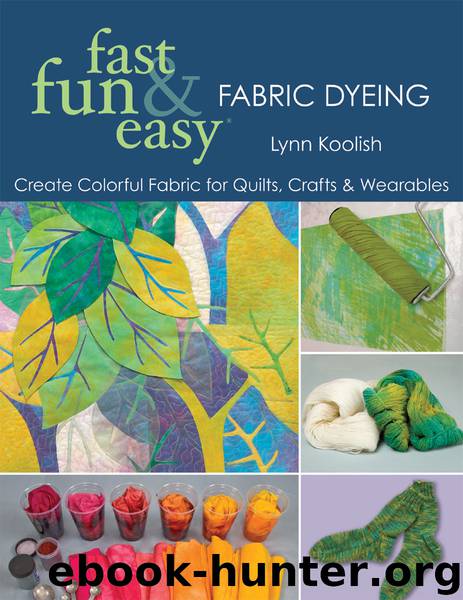 Fast, Fun & Easy&#174; Fabric Dyeing by Lynn Koolish