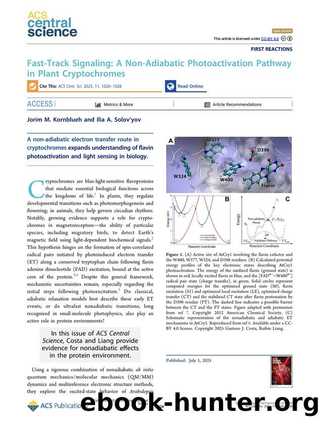 Fast-Track Signaling: A Non-Adiabatic Photoactivation Pathway in Plant Cryptochromes by Jorim M. Kornblueh & Ilia A. Solov’yov