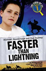 Faster Than Lightning by Pam Harvey