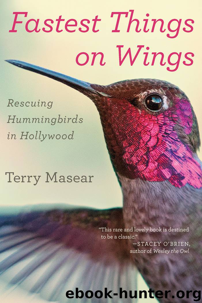Fastest Things on Wings by Terry Masear