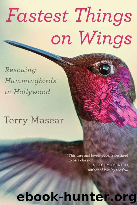 Fastest Things on Wings: Rescuing Hummingbirds in Hollywood by Terry Masear