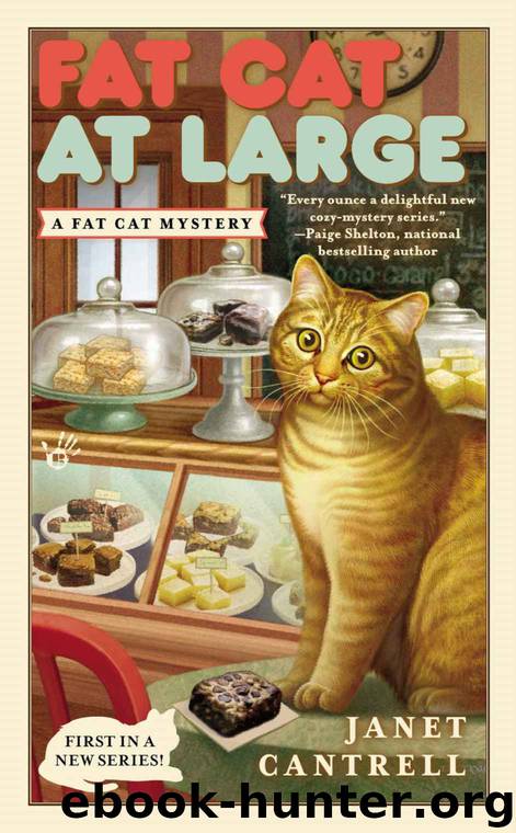 Fat Cat At Large (A Fat Cat Mystery) by Janet Cantrell