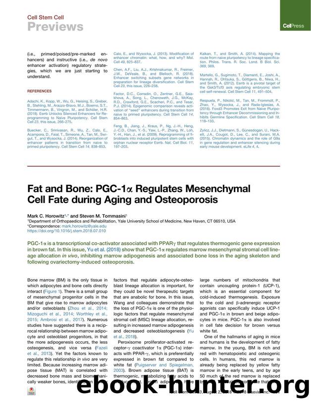 Fat and Bone: PGC-1&alpha; Regulates Mesenchymal Cell Fate during Aging and Osteoporosis by Mark C. Horowitz & Steven M. Tommasini