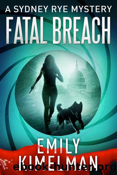 Fatal Breach by Emily Kimelman