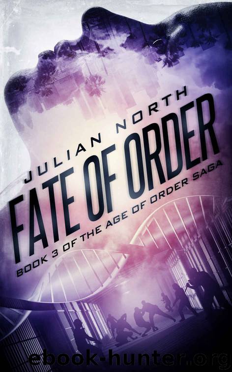 Fate of Order by Julian North