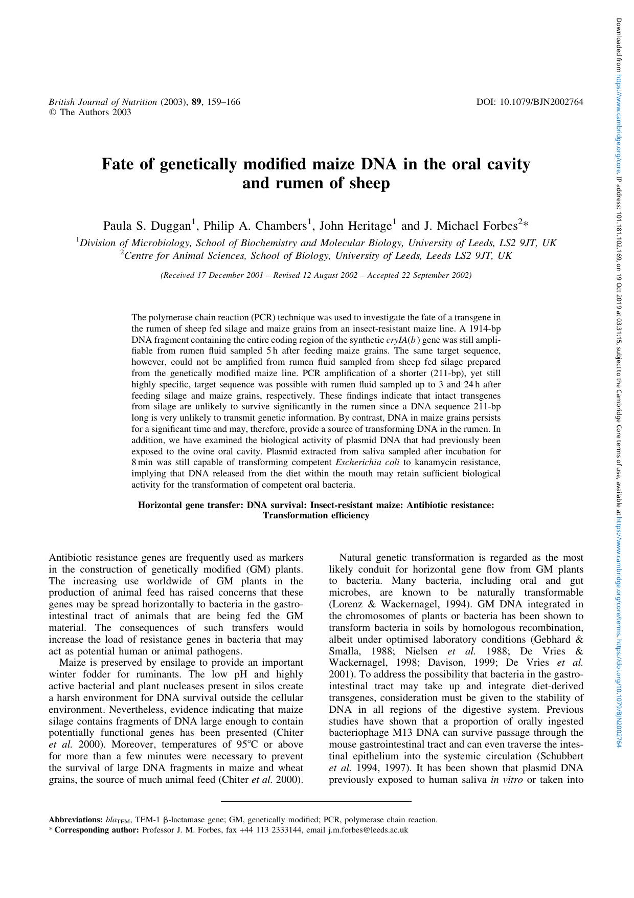 Fate of genetically modified maize DNA in the oral cavity and rumen of sheep by Paula S. Duggan Philip A. Chambers John Heritage J. Michael Forbes