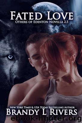 Fated Love by Brandy L Rivers