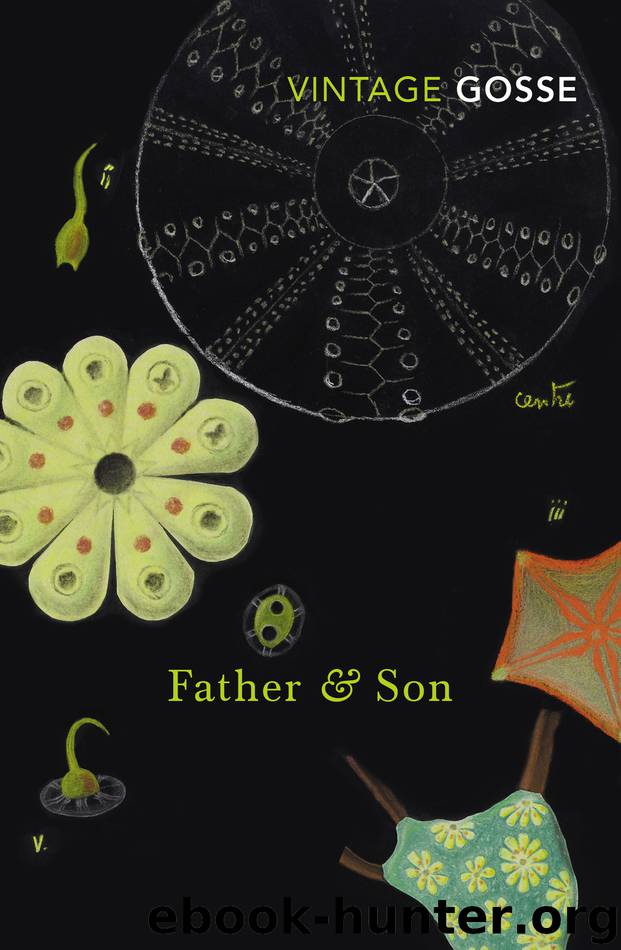 Father and Son by Edmund Gosse