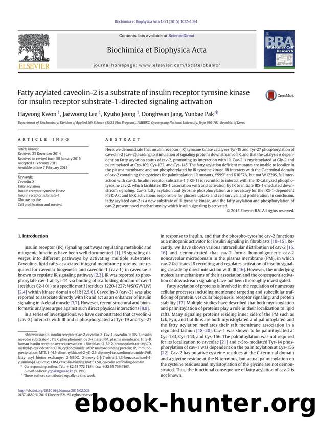 Fatty acylated caveolin-2 is a substrate of insulin receptor tyrosine kinase for insulin receptor substrate-1-directed signaling activation by Hayeong Kwon & Jaewoong Lee & Kyuho Jeong & Donghwan Jang & Yunbae Pak