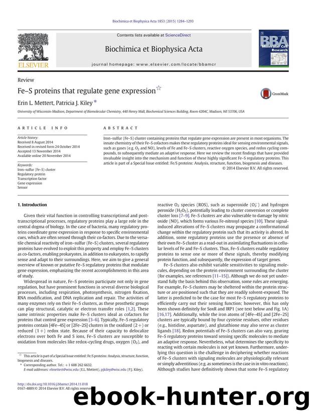 FeâS proteins that regulate gene expression by Erin L. Mettert & Patricia J. Kiley