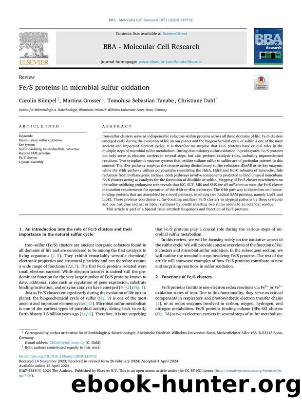 FeS proteins in microbial sulfur oxidation by Carolin Kümpel & Martina Grosser & Tomohisa Sebastian Tanabe & Christiane Dahl