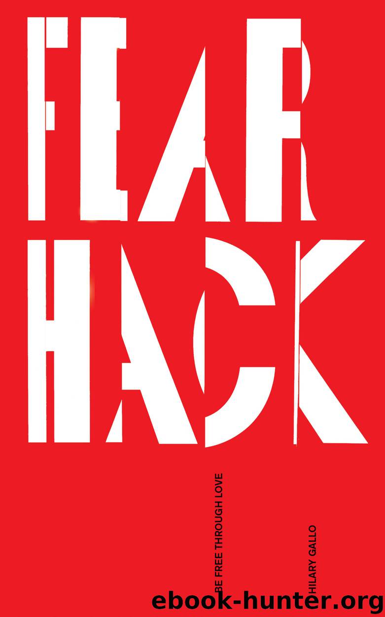 Fear Hack by Hilary Gallo