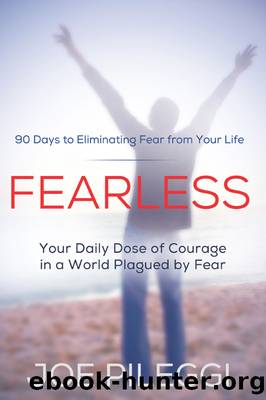 FearLess by Joe Pileggi