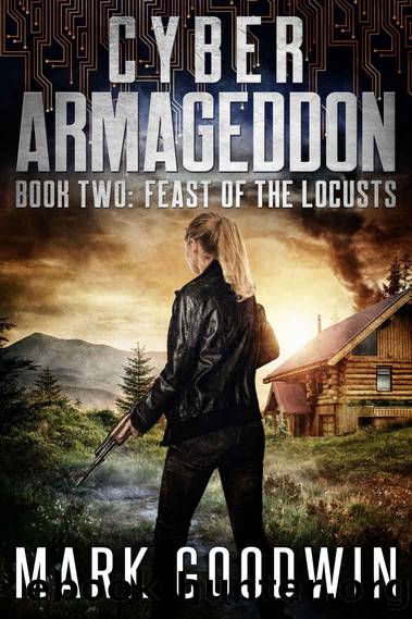 Feast of the Locusts: A Post-Apocalyptic Techno-Thriller (Cyber Armageddon Book 2) by Mark Goodwin