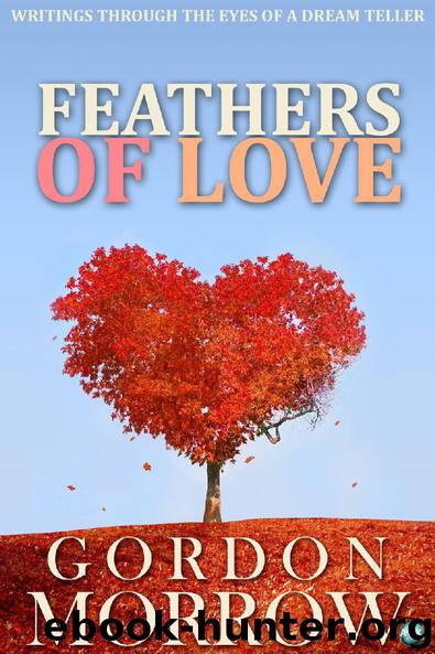 Feathers of Love by Gordon Morrow