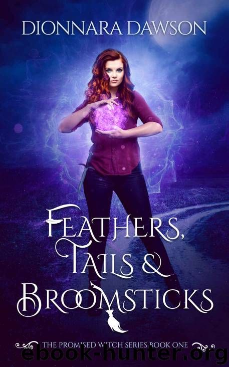 Feathers, Tails & Broomsticks by Dionnara Dawson