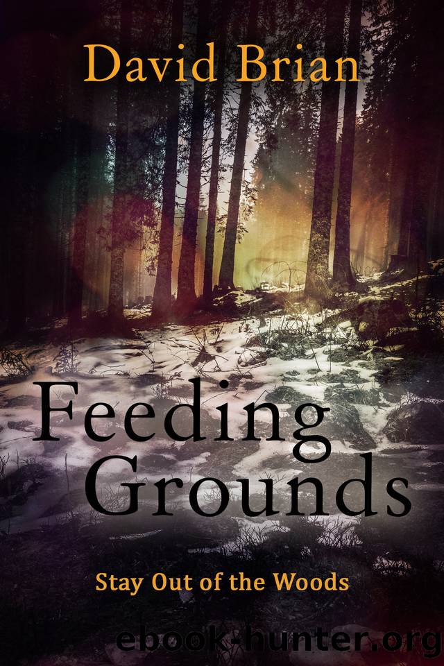 Feeding Grounds by David Brian