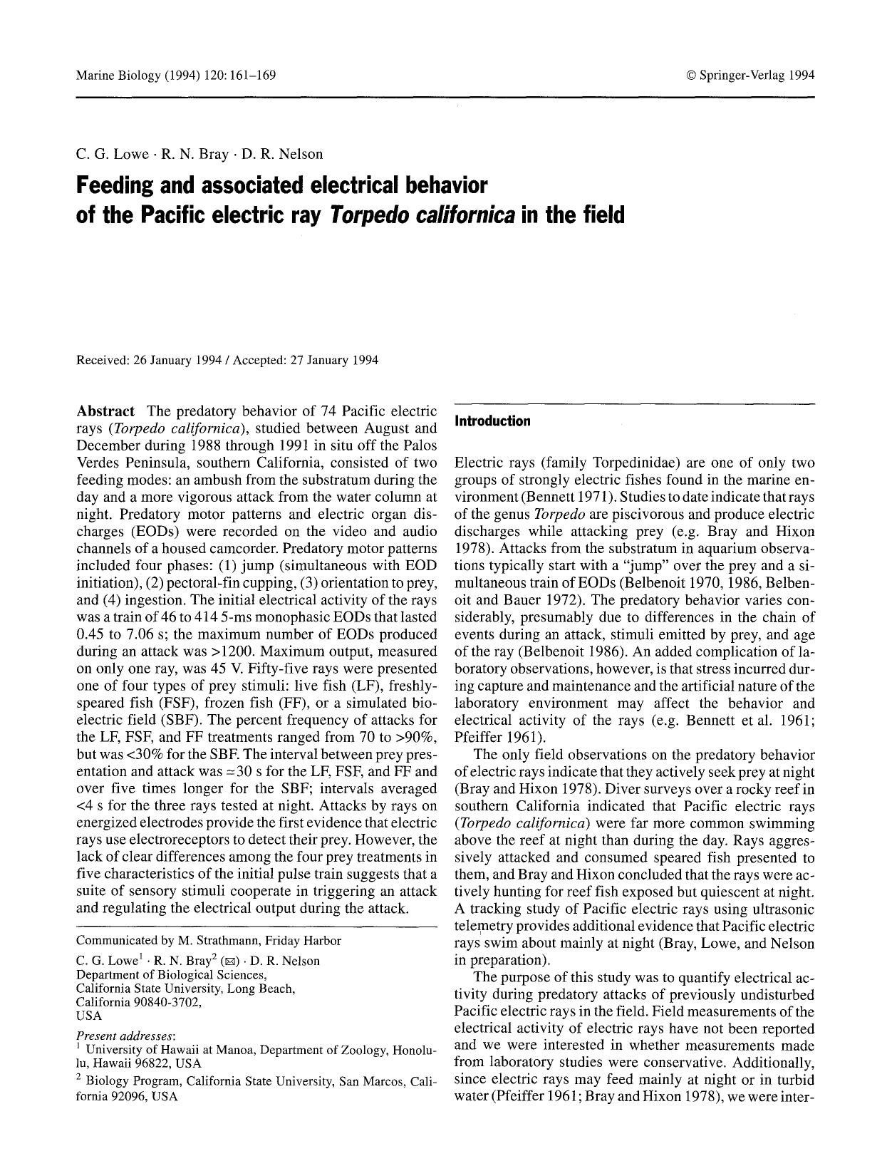 Feeding and associated electrical behavior of the Pacific electric ray <Emphasis Type="Italic">Torpedo californica<Emphasis> in the field by Unknown