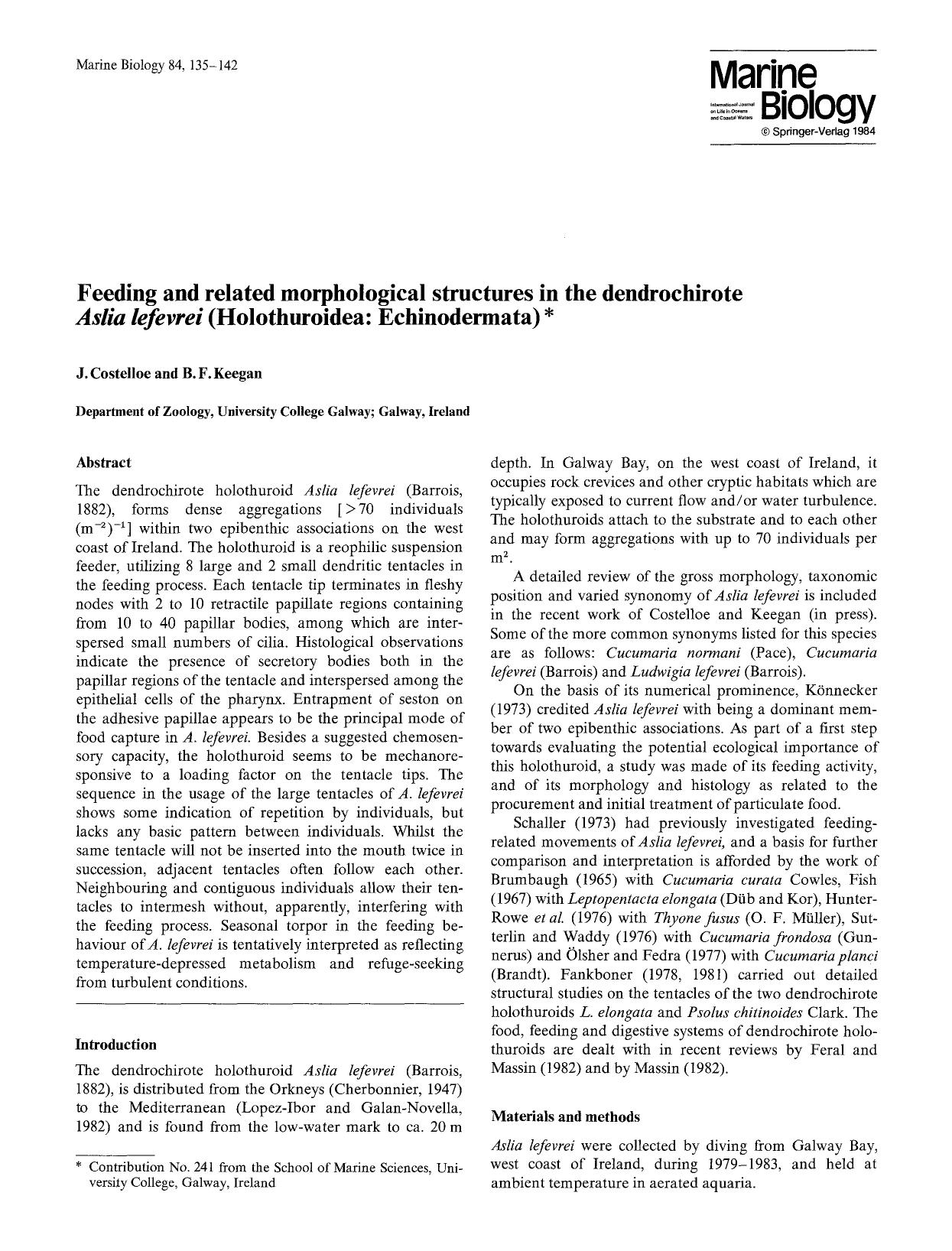 Feeding and related morphological structures in the dendrochirote <Emphasis Type="Italic">Aslia lefevrei<Emphasis> (Holothuroidea: Echinodermata) by Unknown