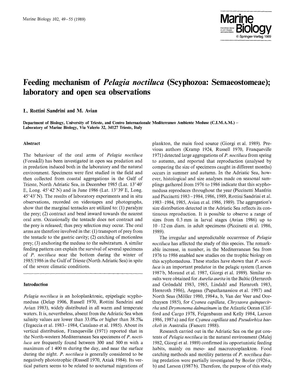 Feeding mechanism of <Emphasis Type="Italic">Pelagia noctiluca<Emphasis> (Scyphozoa: Semaeostomeae); laboratory and open sea observations by Unknown