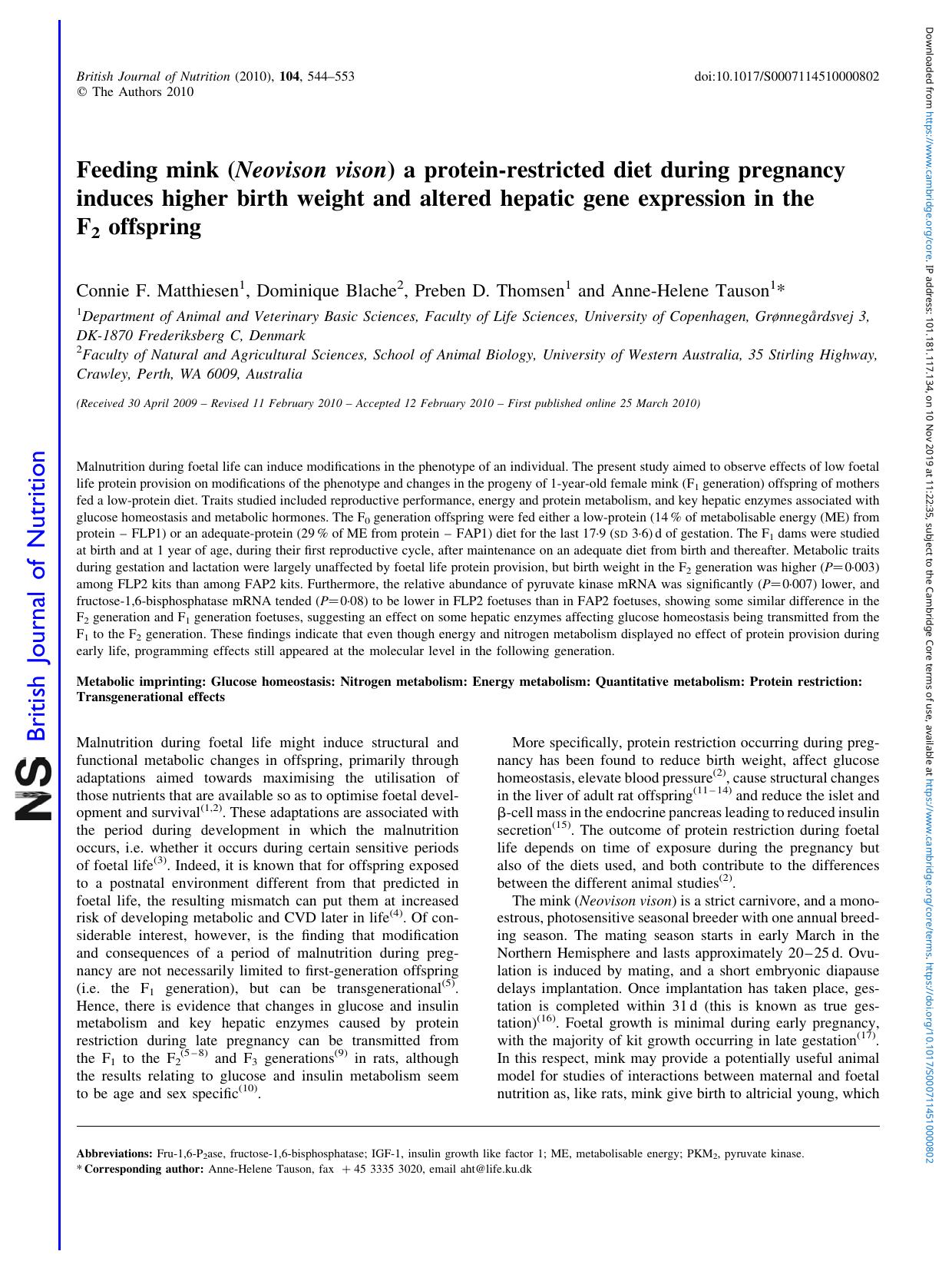 Feeding mink ( Neovison vison) a protein-restricted diet during pregnancy induces higher birth weight and altered hepatic gene expression in the F2 offspring by Connie F. Matthiesen Dominique Blache Preben D. Thomsen Anne-Helene Tauson