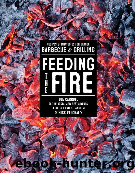 Feeding the Fire by Joe Carroll