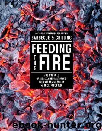 Feeding the Fire: Recipes and Strategies for Better Barbecue and Grilling by Joe Carroll & Nick Fauchald