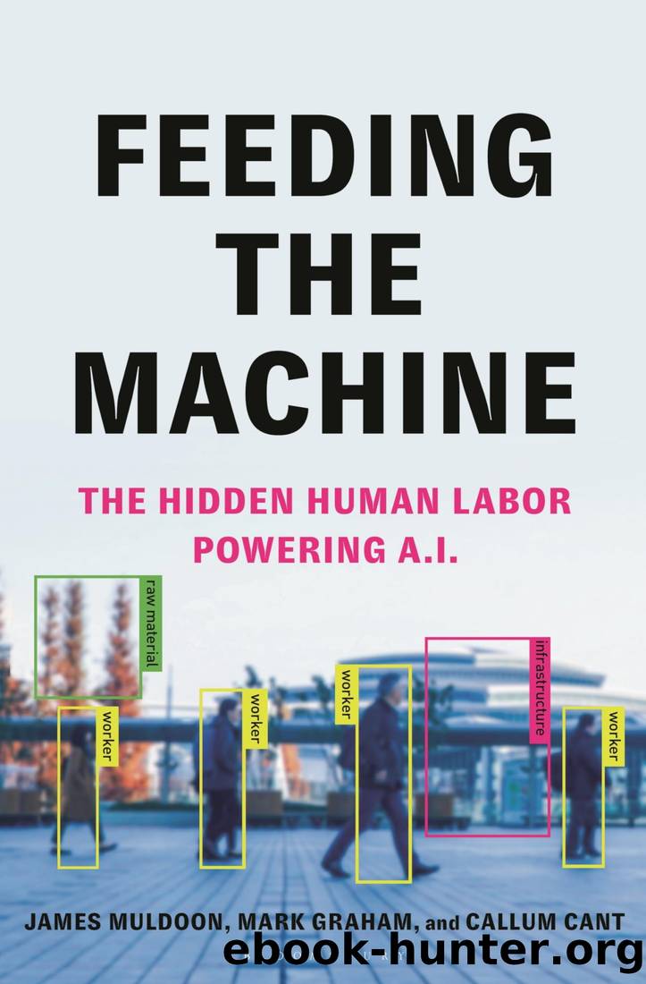 Feeding the Machine: The Hidden Human Labour Powering AI by James Muldoon & Mark Graham & Callum Cant