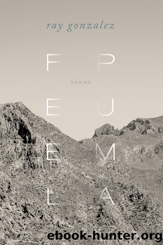 Feel Puma by Ray Gonzalez