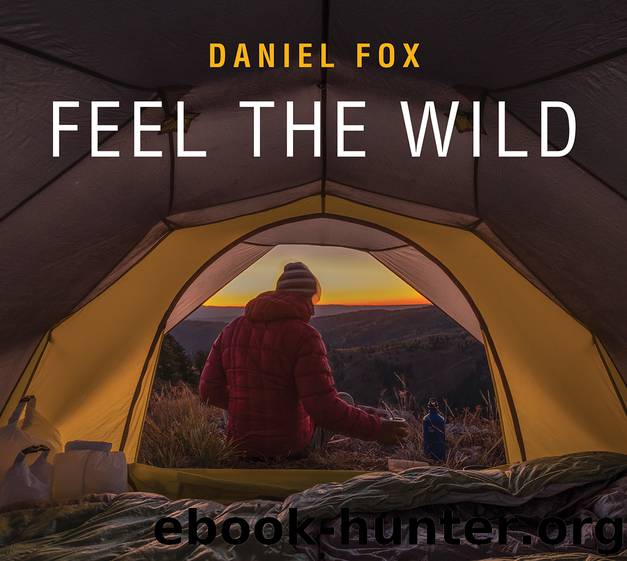 Feel the Wild by Fox Daniel; Fox Daniel;