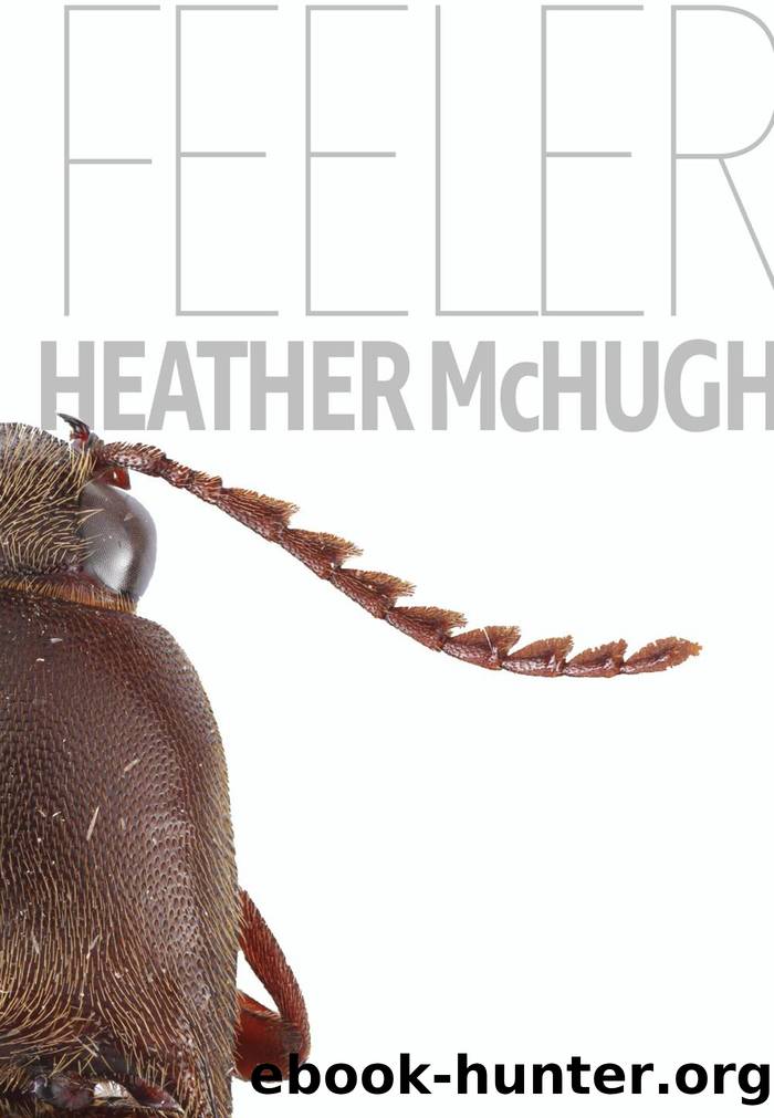 Feeler: Quarternote Chapbook Series #17 by Heather McHugh