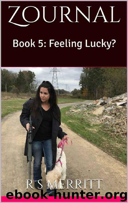 Feeling Lucky? by R. S. Merritt