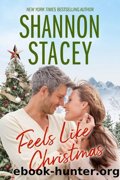Feels Like Christmas by Shannon Stacey