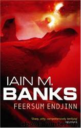 Feersum endjinn by Iain M. Banks