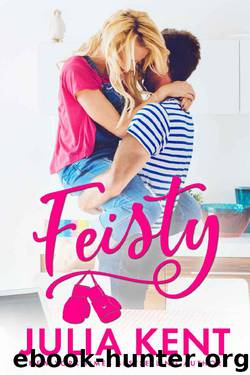 Feisty (The Do-Over Series Book 3) by Julia Kent