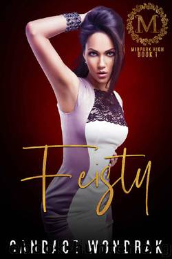 Feisty: A High School Bully Romance (Midpark High Book 1) by Candace Wondrak