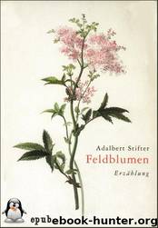 Feldblumen by Adalbert Stifter