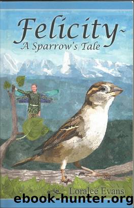 Felicity~ A Sparrow's Tale by Loralee Evans