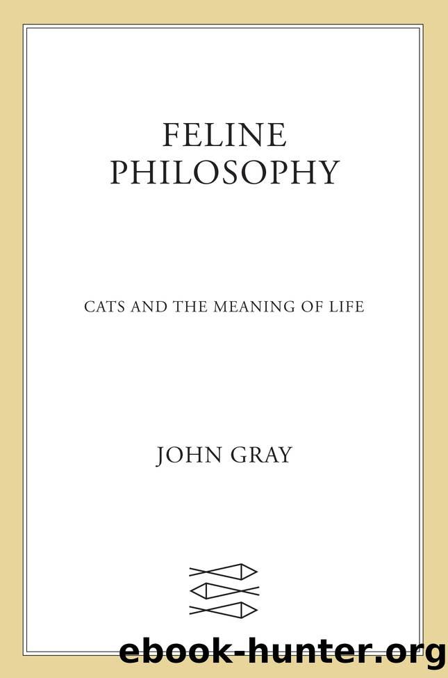 Feline Philosophy by John Gray