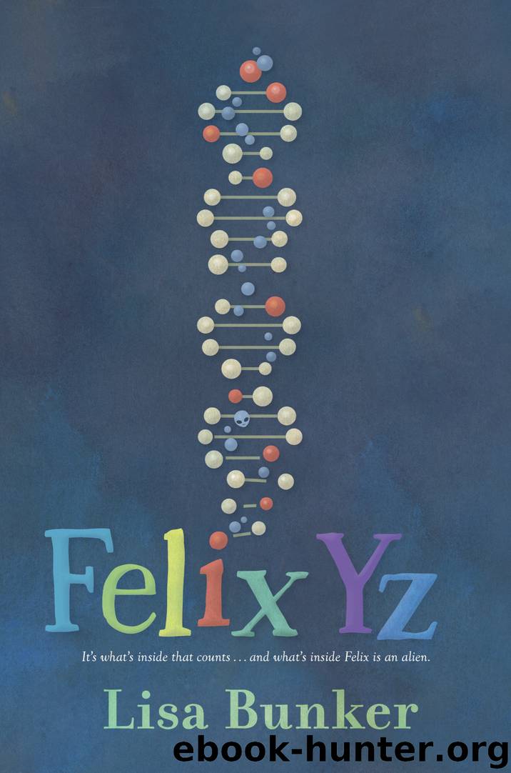 Felix Yz by Lisa Bunker