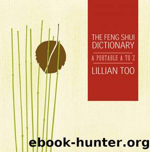 Feng Shui Dictionary by Lillian Too
