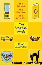 Feng Shui Junkie by Brian Gallagher