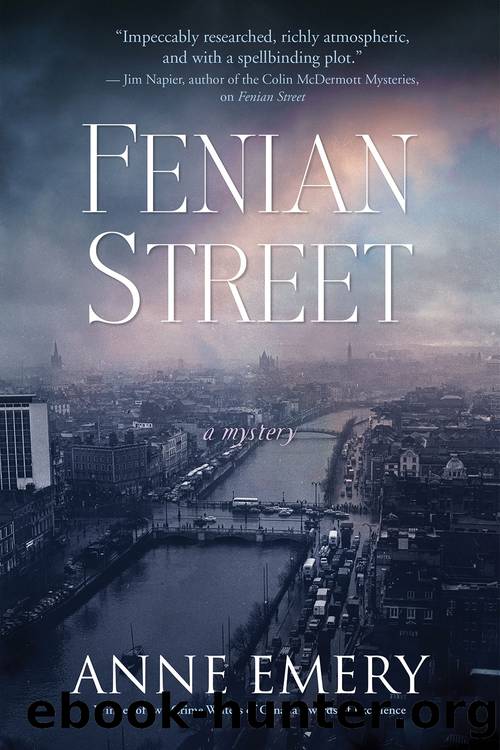 Fenian Street by Anne Emery
