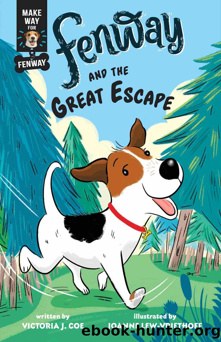 Fenway and the Great Escape by Victoria J. Coe