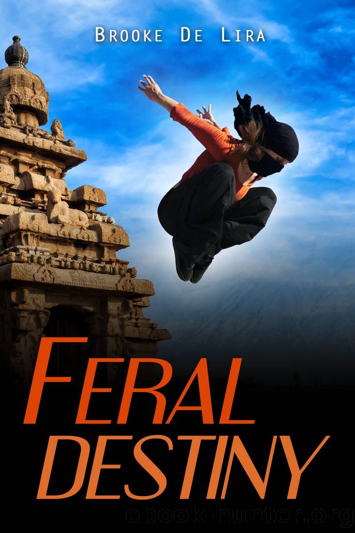 Feral Destiny (Feral Phantom Book 3) by Brooke De Lira